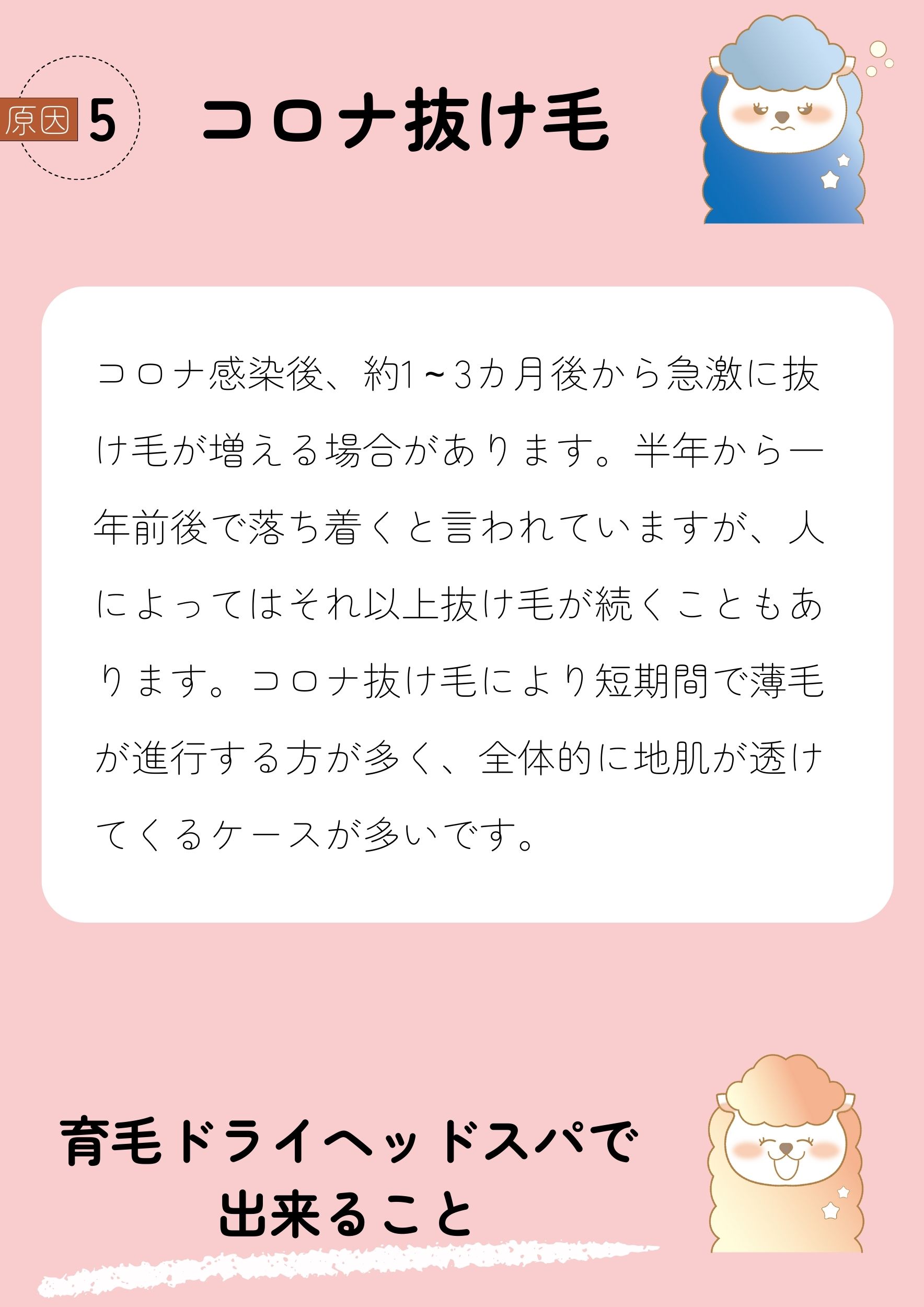 原因5コロナ抜け毛
コロナ感染後、約1～3カ月後から急激に抜け毛が増える場合があります。半年から一年前後で落ち着くと言われていますが、人によってはそれ以上抜け毛が続くこともあります。コロナ抜け毛により短期間で薄毛が進行する方が多く、全体的に地肌が透けてくるケースが多いです。
育毛ドライヘッドスパで出来ること