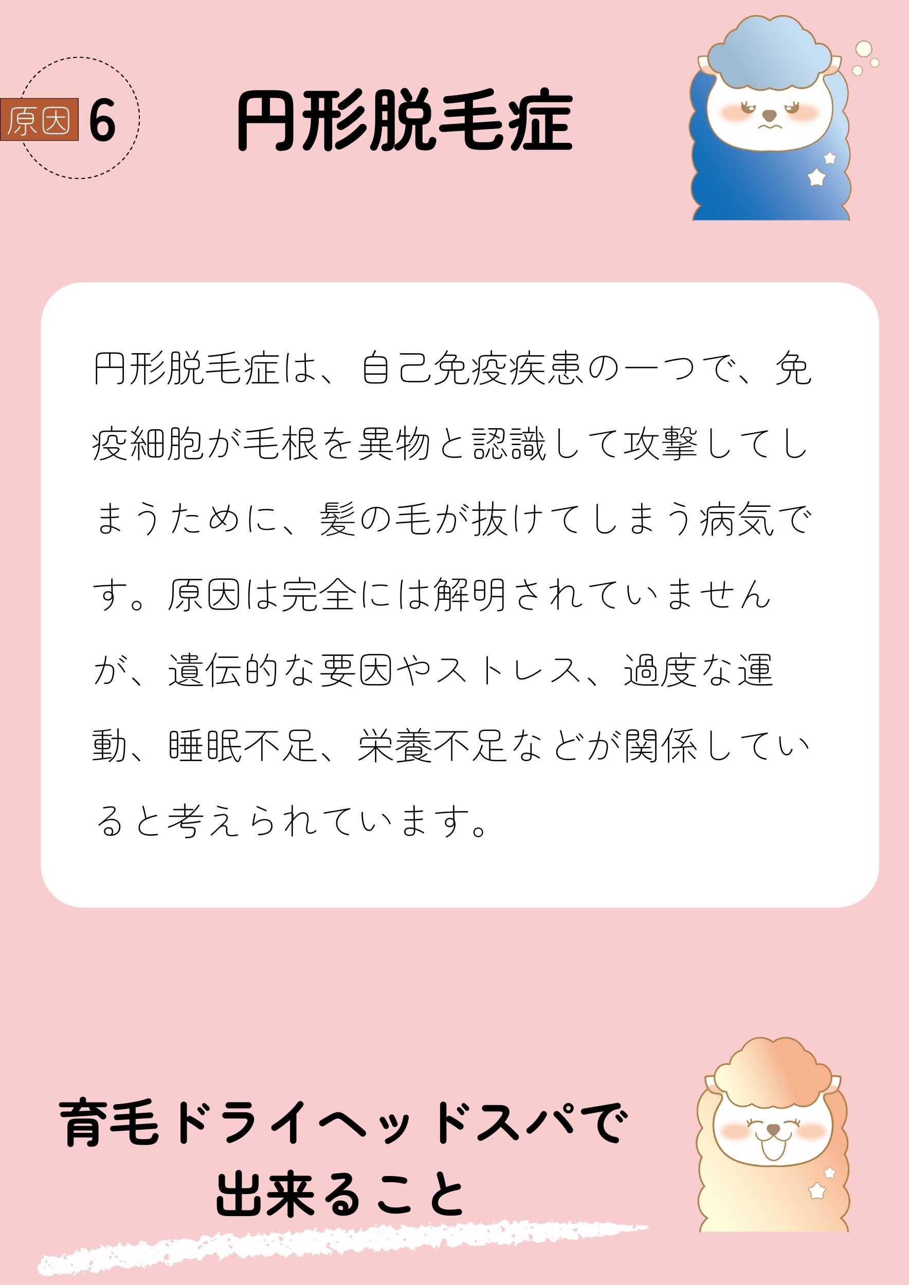 原因6円形脱毛症
円形脱毛症は、自己免疫疾患の一つで、免疫細胞が毛根を異物と認識して攻撃してしまうために、髪の毛が抜けてしまう病気です。原因は完全には解明されていませんが、遺伝的な要因やストレス、過度な運動、睡眠不足、栄養不足などが関係していると考えられています。
育毛ドライヘッドスパで出来ること
