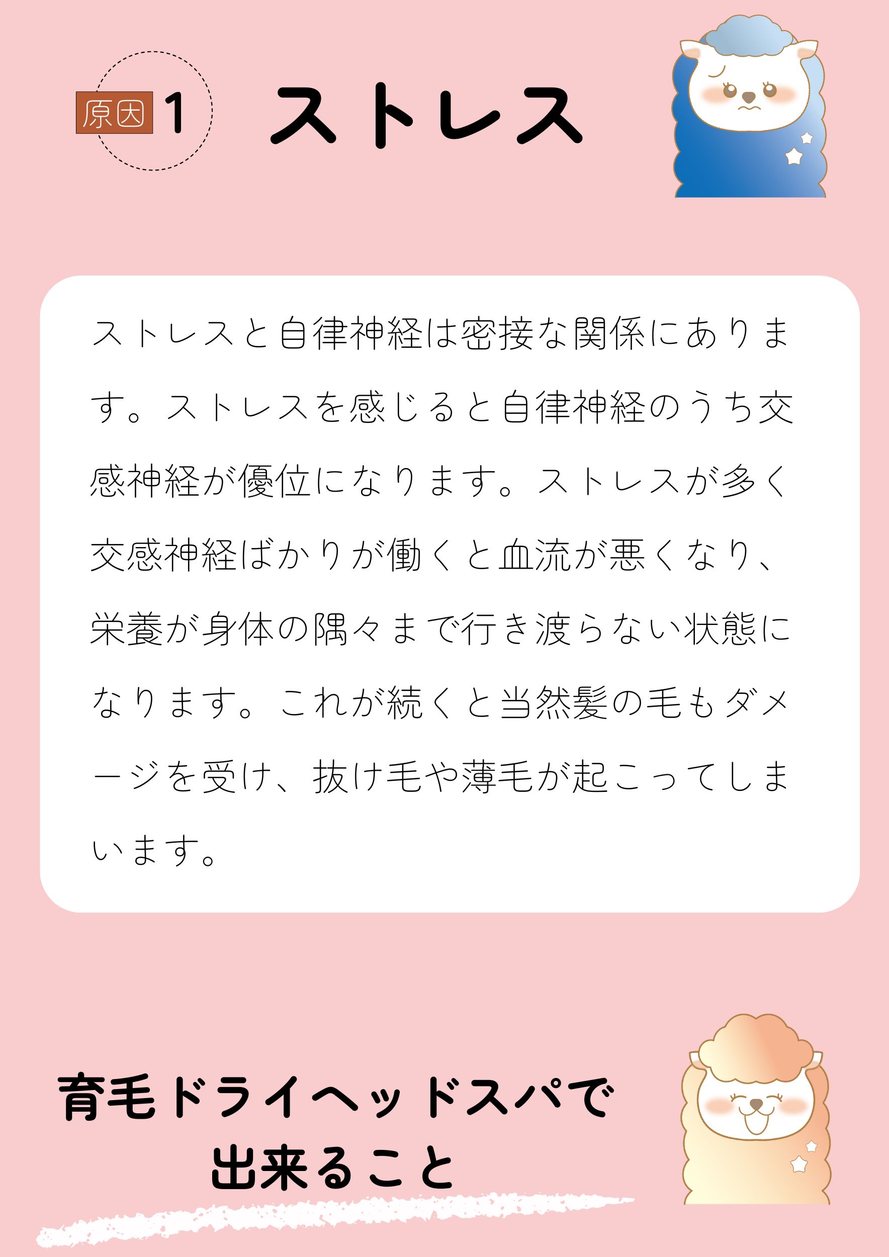 原因1ストレス
ストレスと自律神経は密接な関係にあります。ストレスを感じると自律神経のうち交感神経が優位になります。ストレスが多く交感神経ばかりが働くと血流が悪くなり、栄養が身体の隅々まで行き渡らない状態になります。これが続くと当然髪の毛もダメージを受け、抜け毛や薄毛が起こってしまいます。
育毛ドライヘッドスパで出来ること