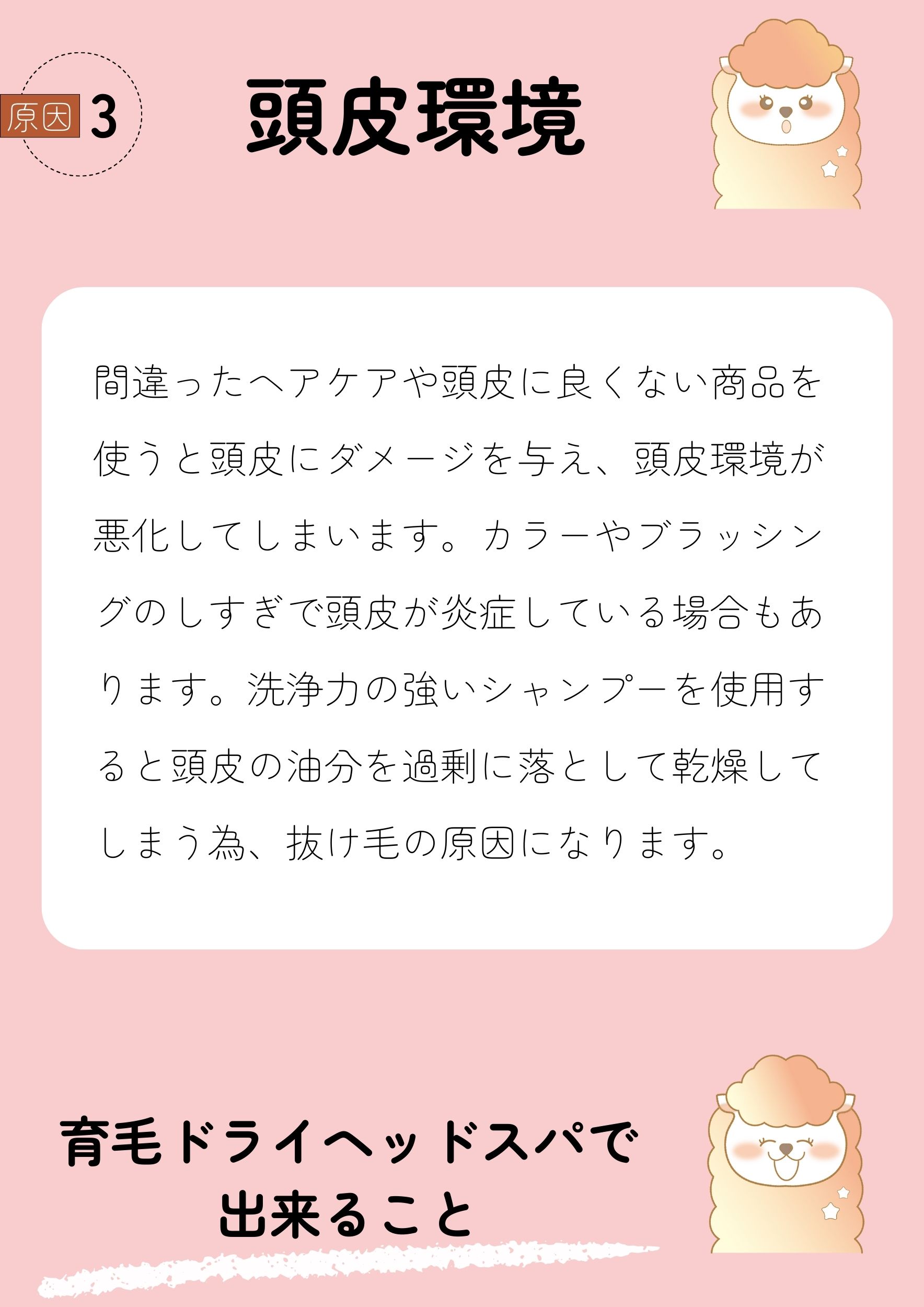 原因3頭皮環境
間違ったヘアケアや頭皮に良くない商品を使うと頭皮にダメージを与え、頭皮環境が悪化してしまいます。カラーやブラッシングのしすぎで頭皮が炎症している場合もあります。洗浄力の強いシャンプーを使用すると頭皮の油分を過剰に落として乾燥してしまう為、抜け毛の原因になります。
育毛ドライヘッドスパで出来ること
