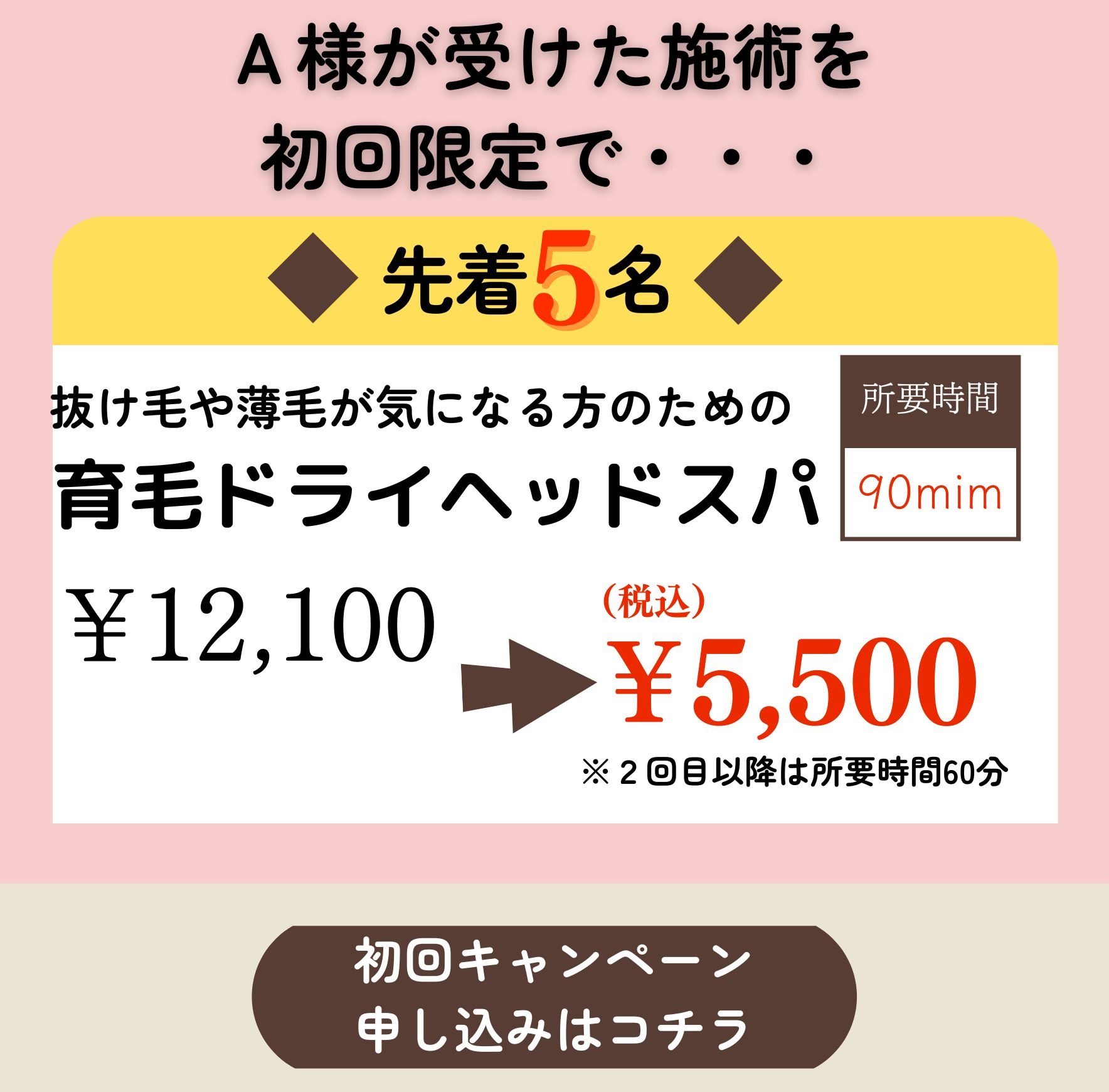 A様が受られけた施術を
初回限定で・・・
所要時間
90mim

先着5名
抜け毛や薄毛が気になる方のための育毛ドライヘッドスパ
￥5,500
（税込）
￥12,100
※２回目以降は所要時間60分
JET噴流での毛穴洗浄ついてます。