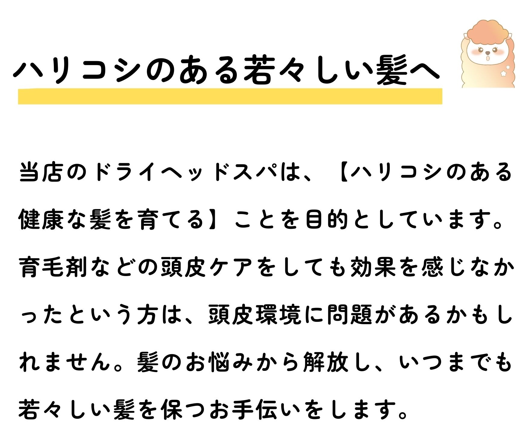 育毛ドライヘッドスパって何？

当店のドライヘッドスパは、健康な髪を育てることを目的としています。育毛剤などの頭皮ケアをしても効果を感じなかったという方は、頭皮環境に問題があるかもしれません。自分の頭皮状態を知れて気軽に相談できてよかったというお声を多くいただいています。